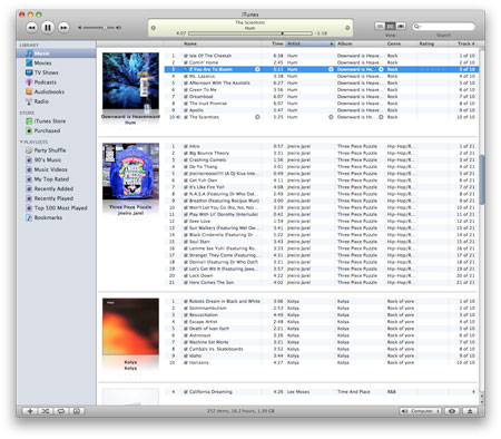 Screenshot of iTunes in Album view