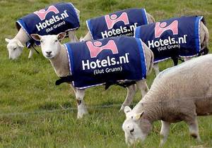 sheep advertising